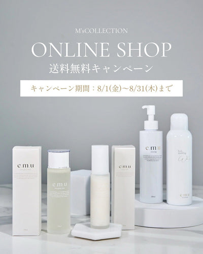 送料無料キャンペーン🌻